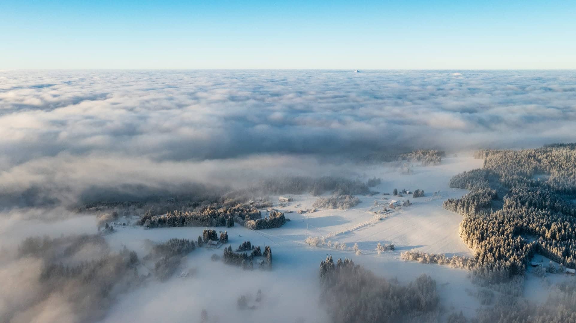 DJI_0133